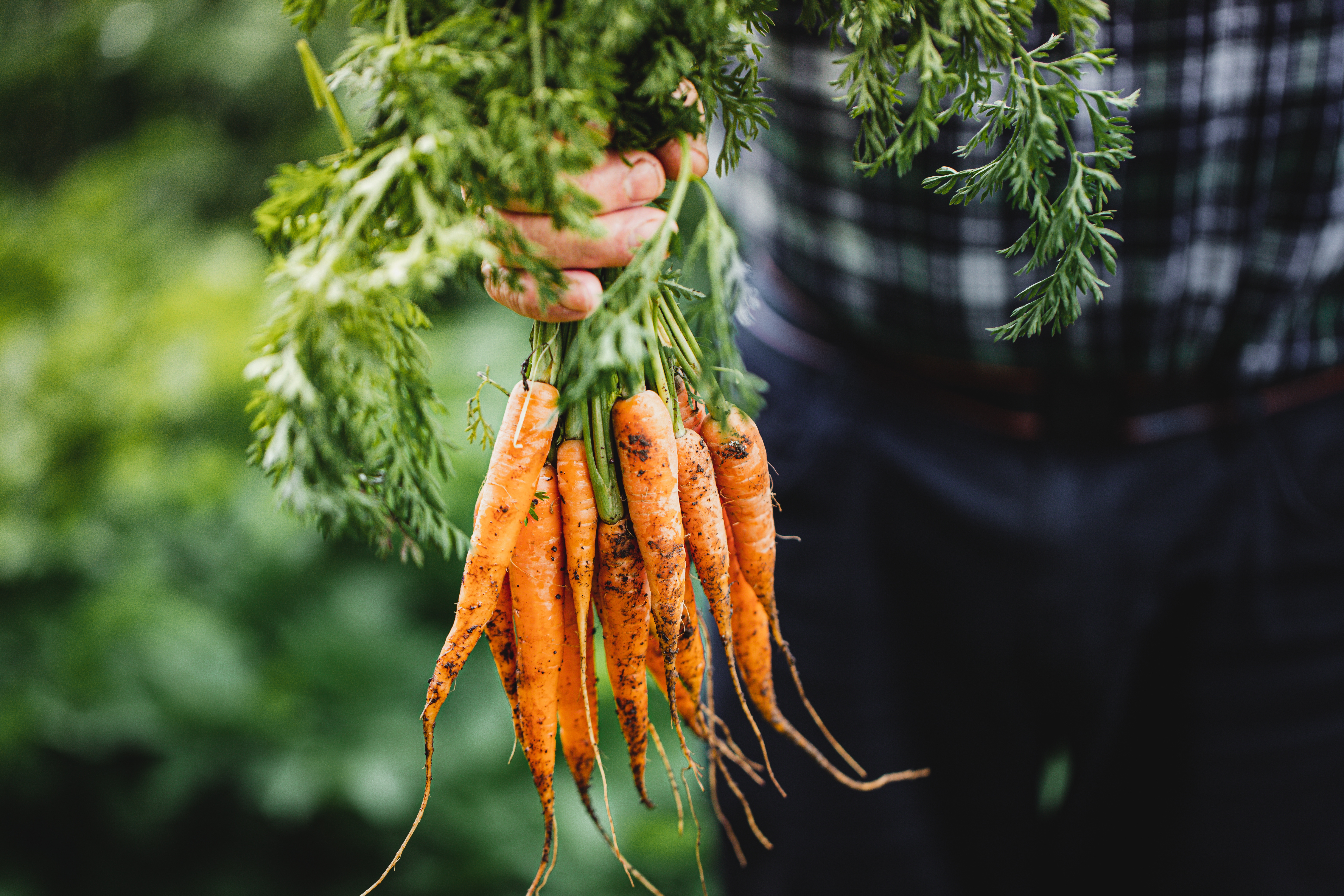 Plan légume bouillons KUB